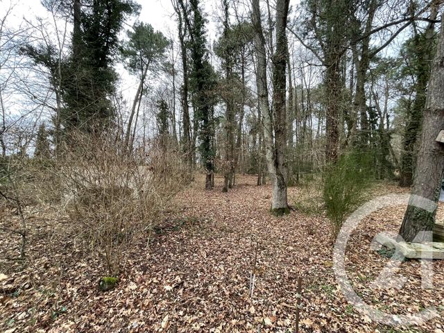Agrandir la photo Terrain à vendre - 3000 m2 - Guecelard - 72 - PAYS-DE-LOIRE