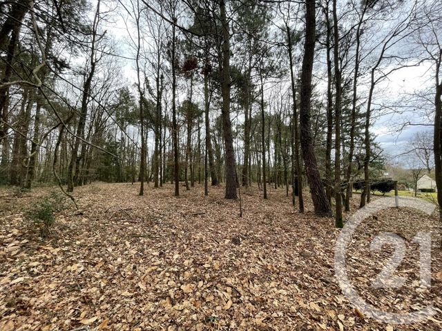 Agrandir la photo Terrain à vendre - 3000 m2 - Guecelard - 72 - PAYS-DE-LOIRE