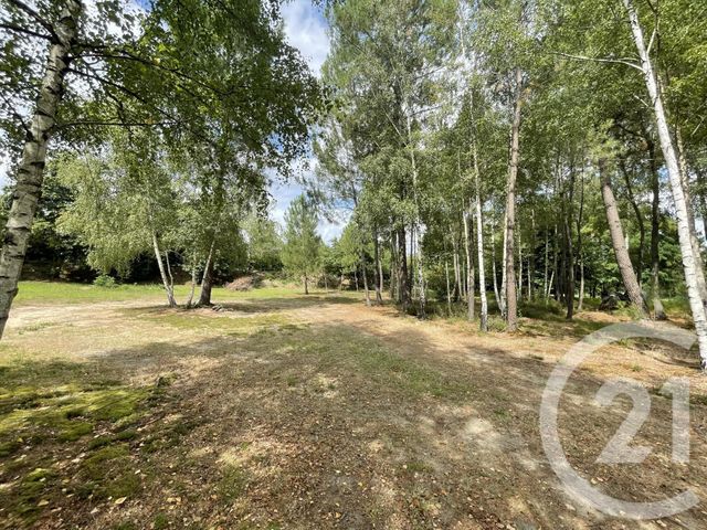Agrandir la photo Terrain à vendre - 4740 m2 - Parigne Le Polin - 72 - PAYS-DE-LOIRE