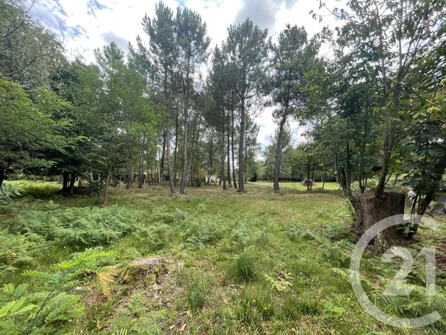Agrandir la photo Terrain à vendre - 4740 m2 - Parigne Le Polin - 72 - PAYS-DE-LOIRE