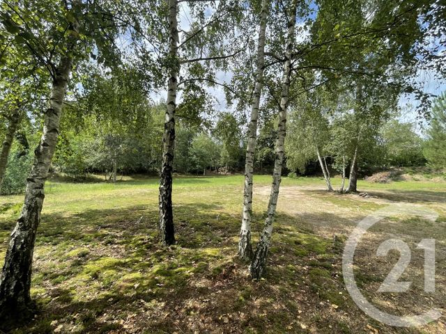 Agrandir la photo Terrain à vendre - 4740 m2 - Parigne Le Polin - 72 - PAYS-DE-LOIRE