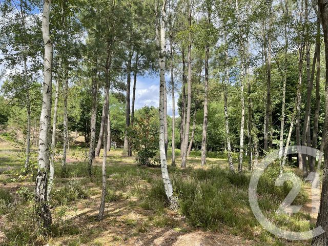 Agrandir la photo Terrain à vendre - 4740 m2 - Parigne Le Polin - 72 - PAYS-DE-LOIRE