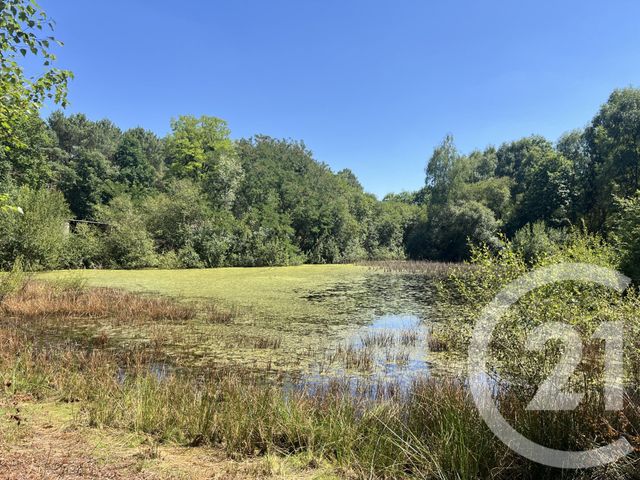 Maison à vendre - 5 pièces - 181 m2 - Parigne L Eveque - 72 - PAYS-DE-LOIRE